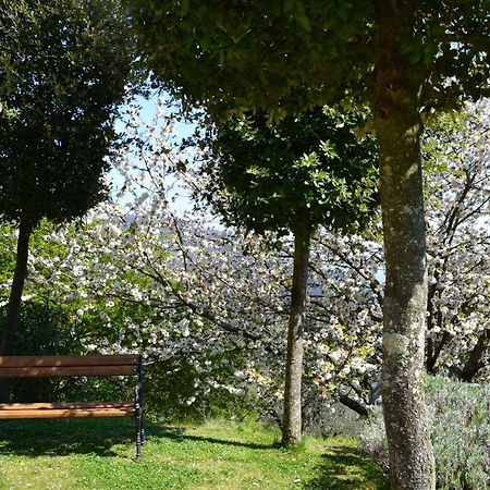 Villa Monte A Pescia Extérieur photo