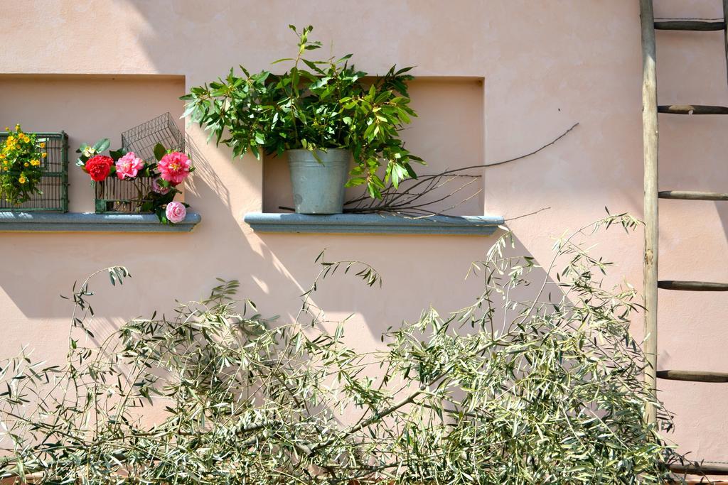 Villa Monte A Pescia Extérieur photo