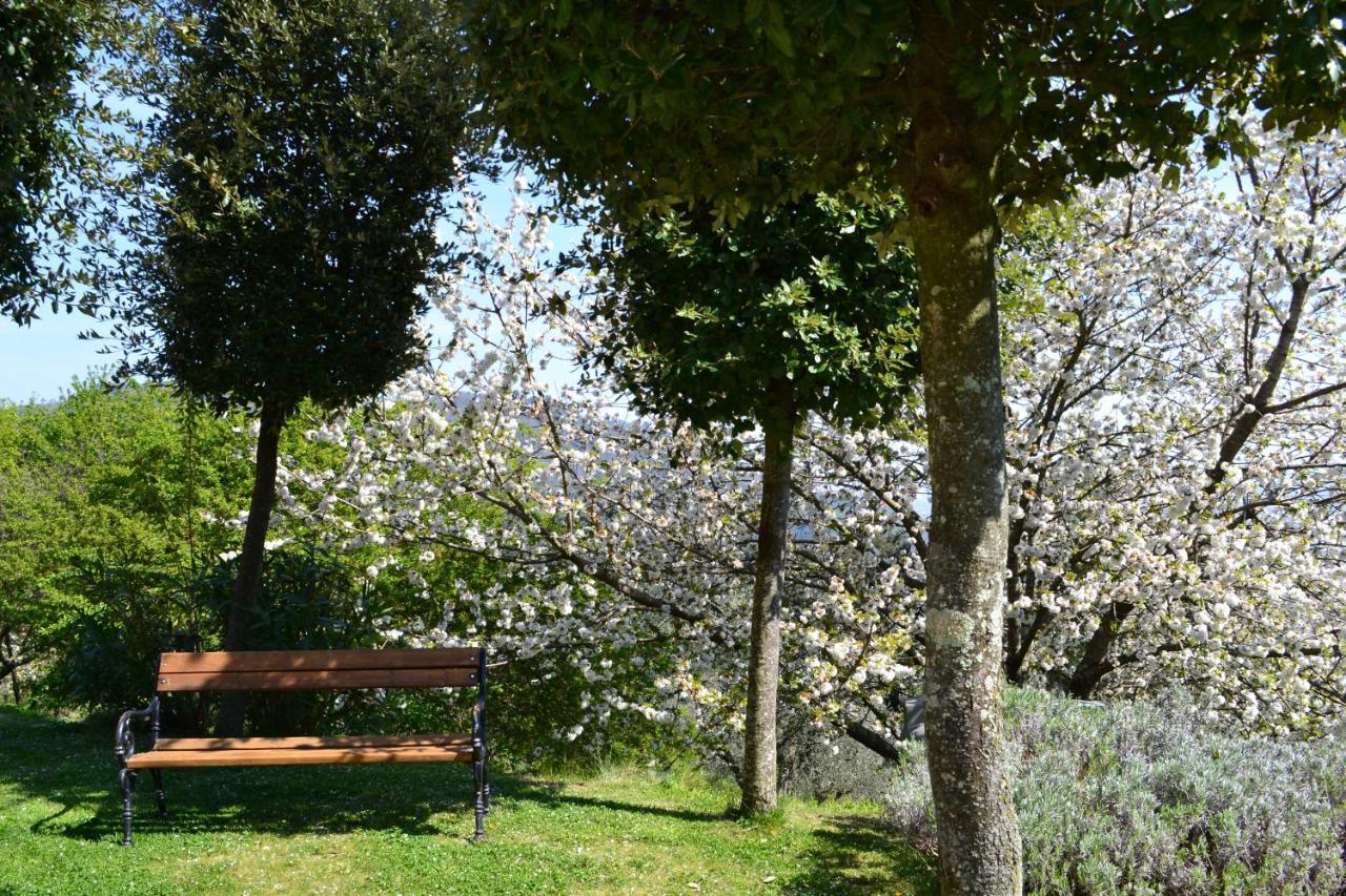 Villa Monte A Pescia Extérieur photo